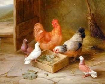 unknow artist Poultry 093 Sweden oil painting art